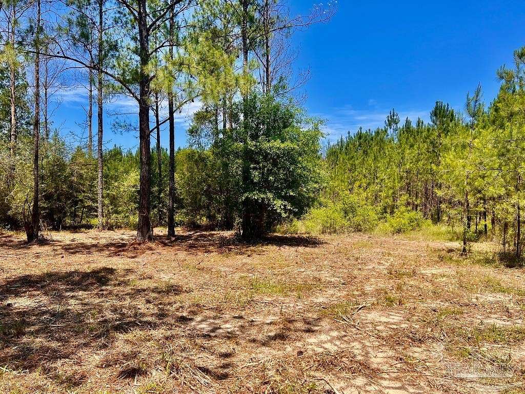 2.8 Acres of Residential Land for Sale in Pace, Florida