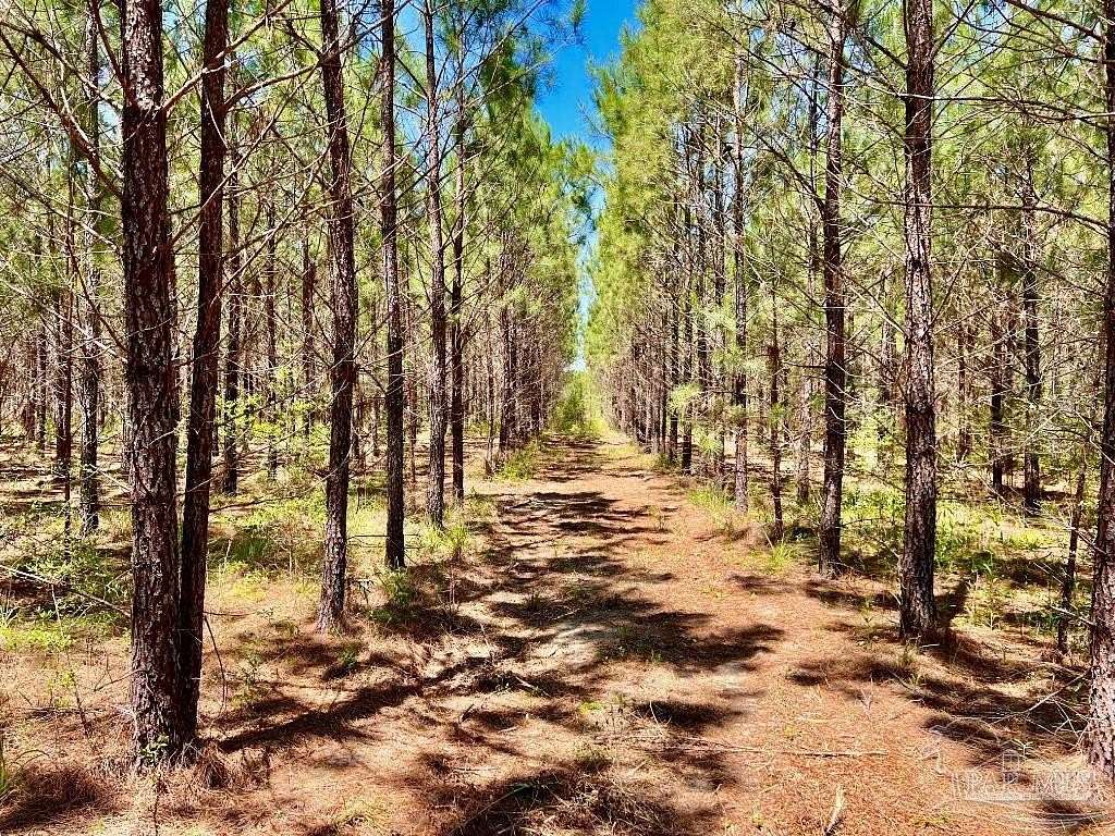 3.88 Acres of Residential Land for Sale in Pace, Florida