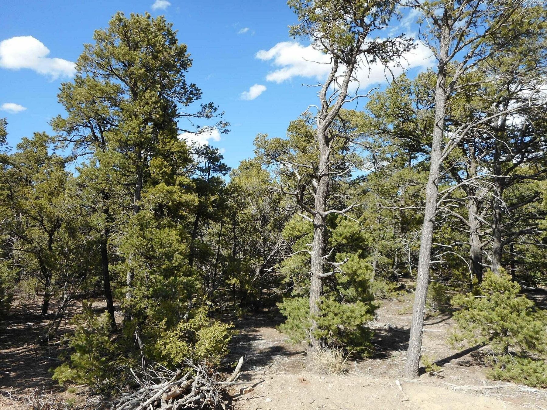 1.9 Acres of Residential Land for Sale in Tijeras, New Mexico