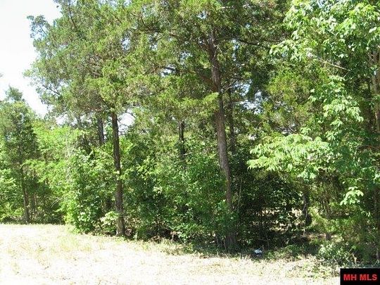0.6 Acres of Residential Land for Sale in Mountain Home, Arkansas