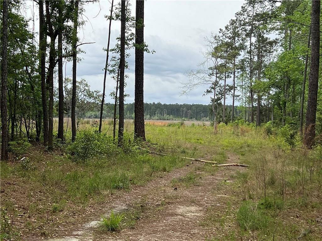 6.1 Acres of Land for Sale in Townsend, Georgia