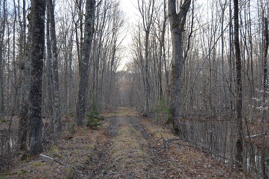 121 Acres of Recreational Land & Farm for Sale in Fryeburg, Maine