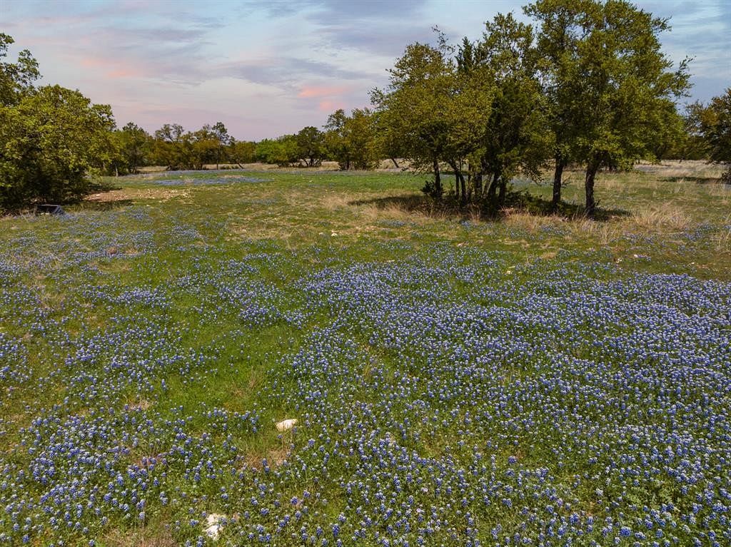 53.6 Acres of Land for Sale in Iredell, Texas