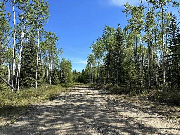 2.5 Acres of Land for Sale in Delta Junction, Alaska