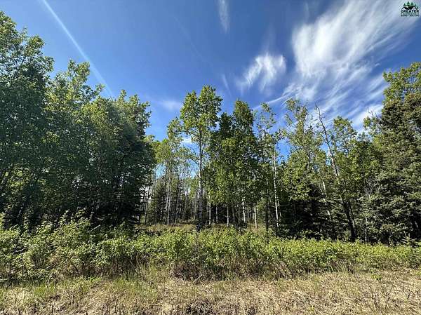 2.5 Acres of Land for Sale in Delta Junction, Alaska