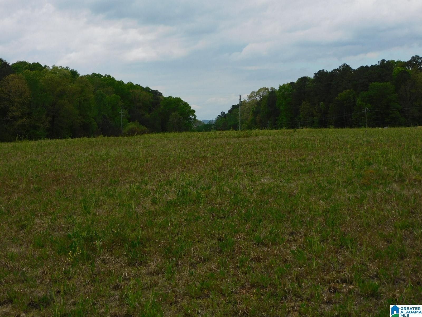 7 Acres of Commercial Land for Sale in Montevallo, Alabama