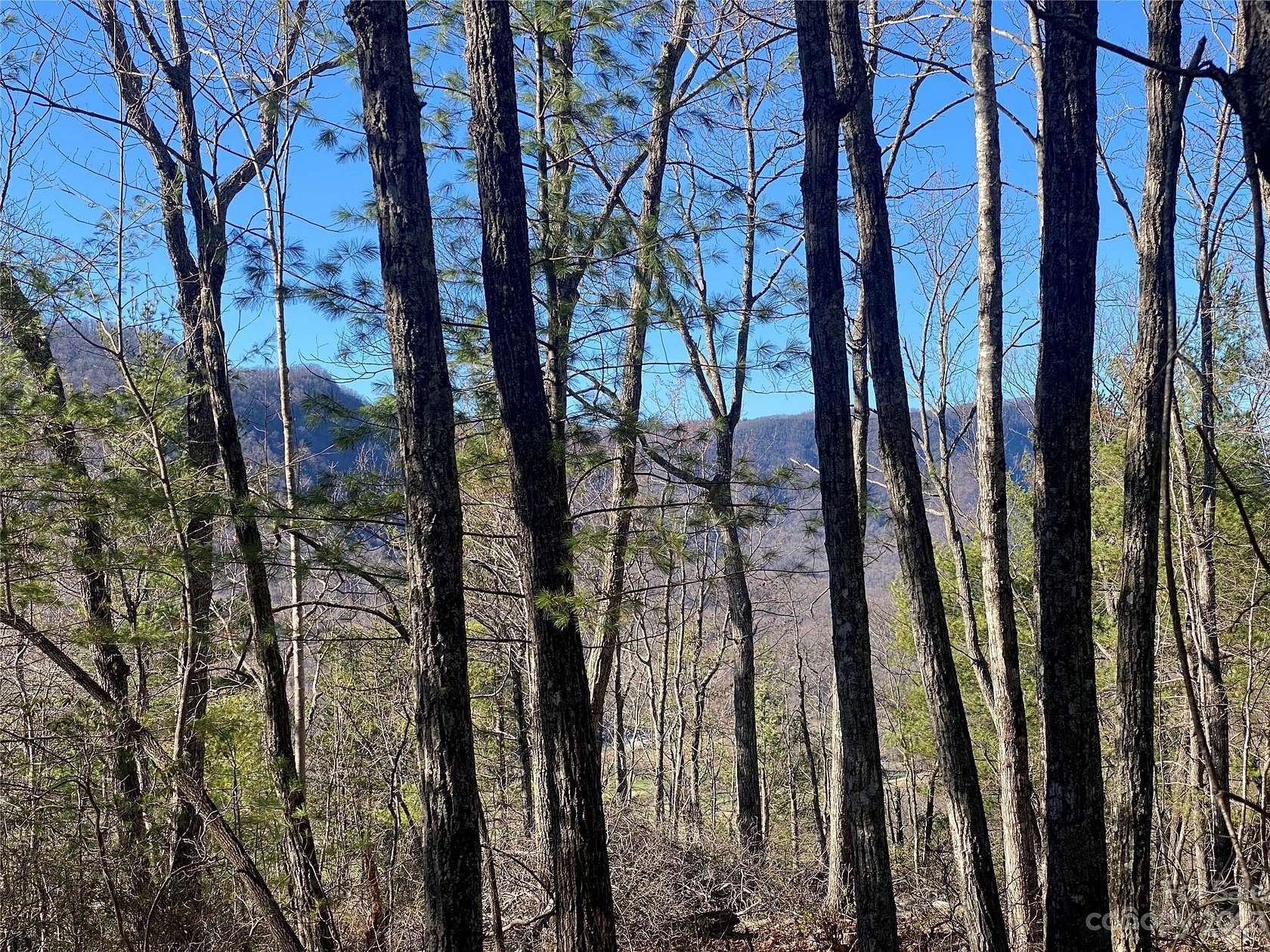 1.24 Acres of Land for Sale in Marion, North Carolina