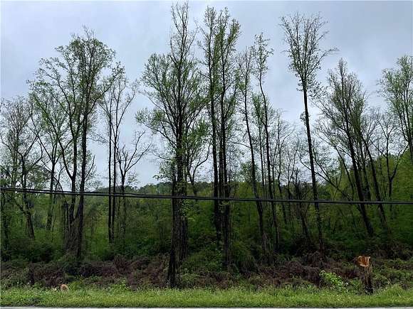 10.78 Acres of Land for Sale in Dadeville, Alabama