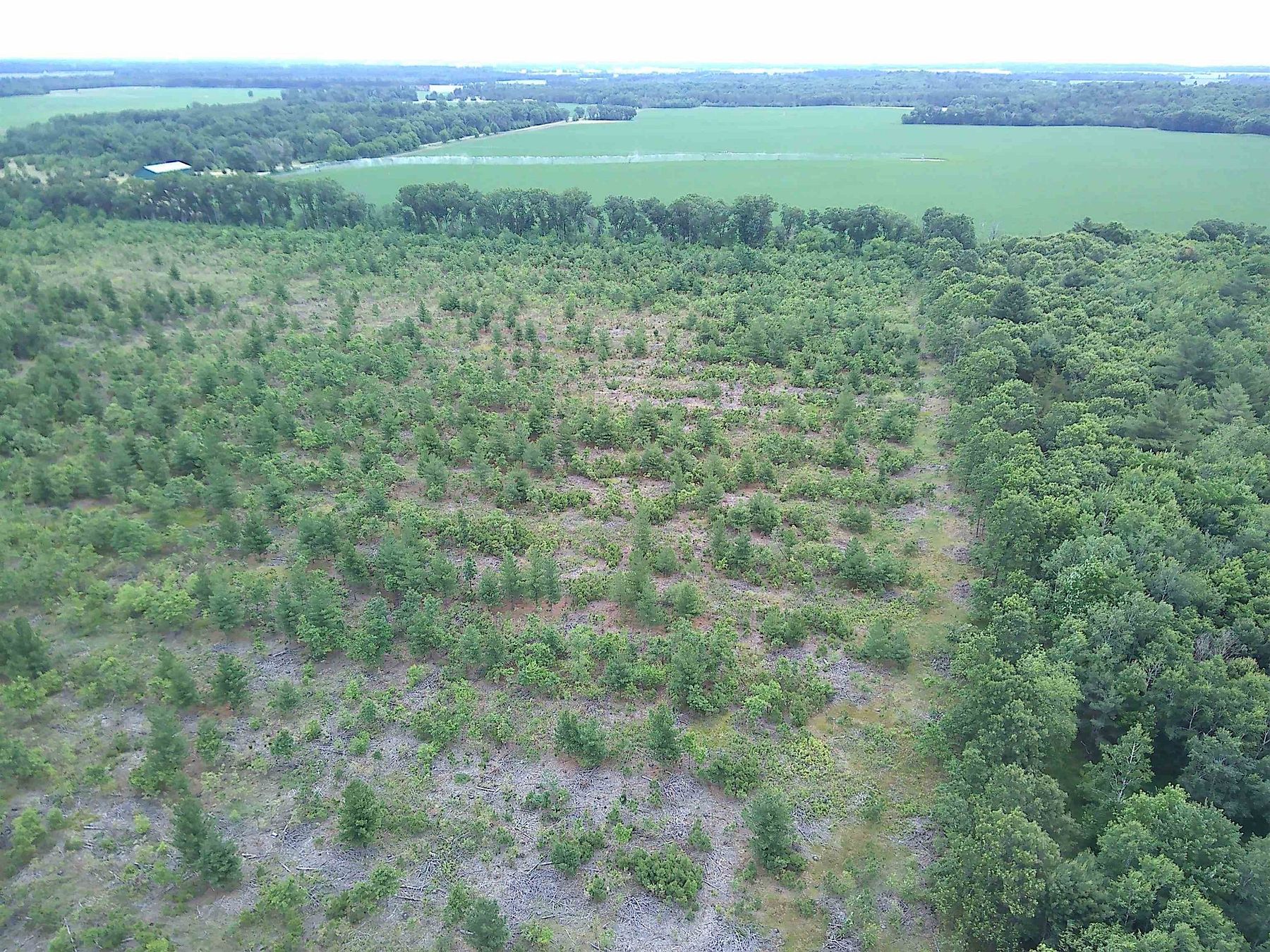 67.9 Acres of Land for Sale in Friendship, Wisconsin
