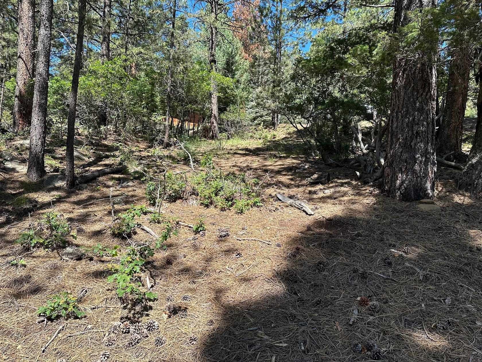 0.64 Acres of Land for Sale in Angel Fire, New Mexico