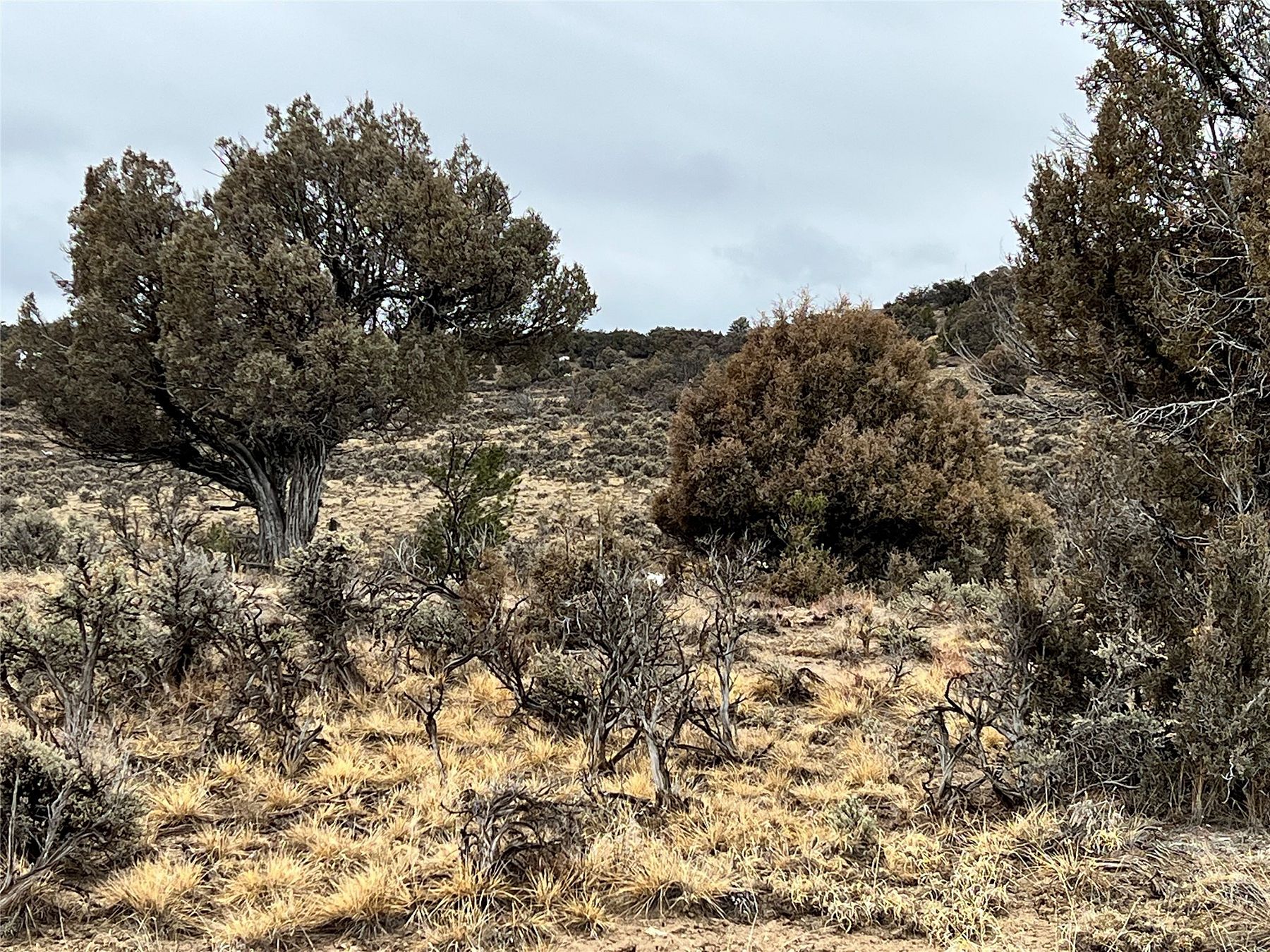 11.4 Acres of Land for Sale in Tierra Amarilla, New Mexico