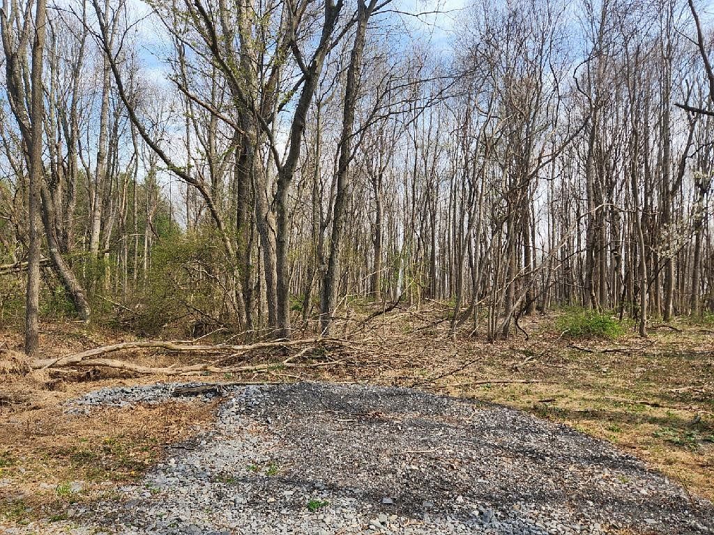 1.2 Acres of Residential Land for Sale in Rural Retreat, Virginia