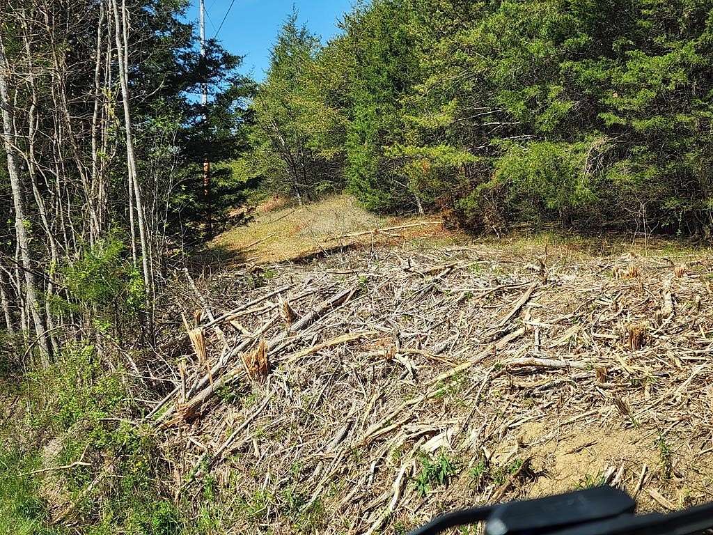 10.9 Acres of Land for Sale in Bybee, Tennessee