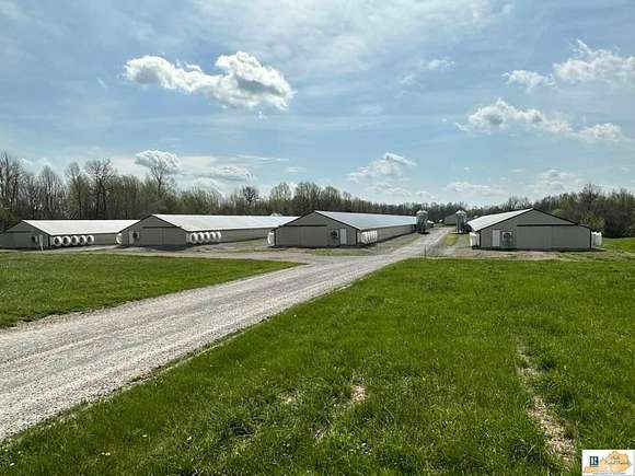 17 Acres of Agricultural Land for Sale in Greensburg, Kentucky