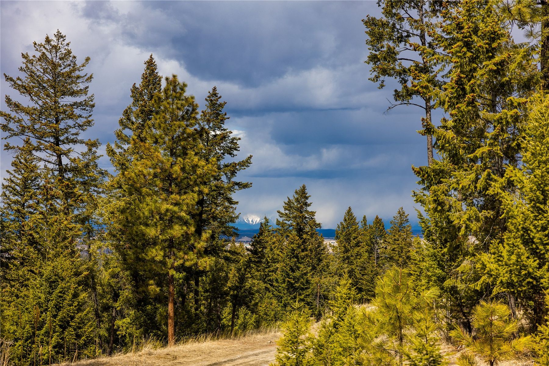 5.2 Acres of Residential Land for Sale in Eureka, Montana