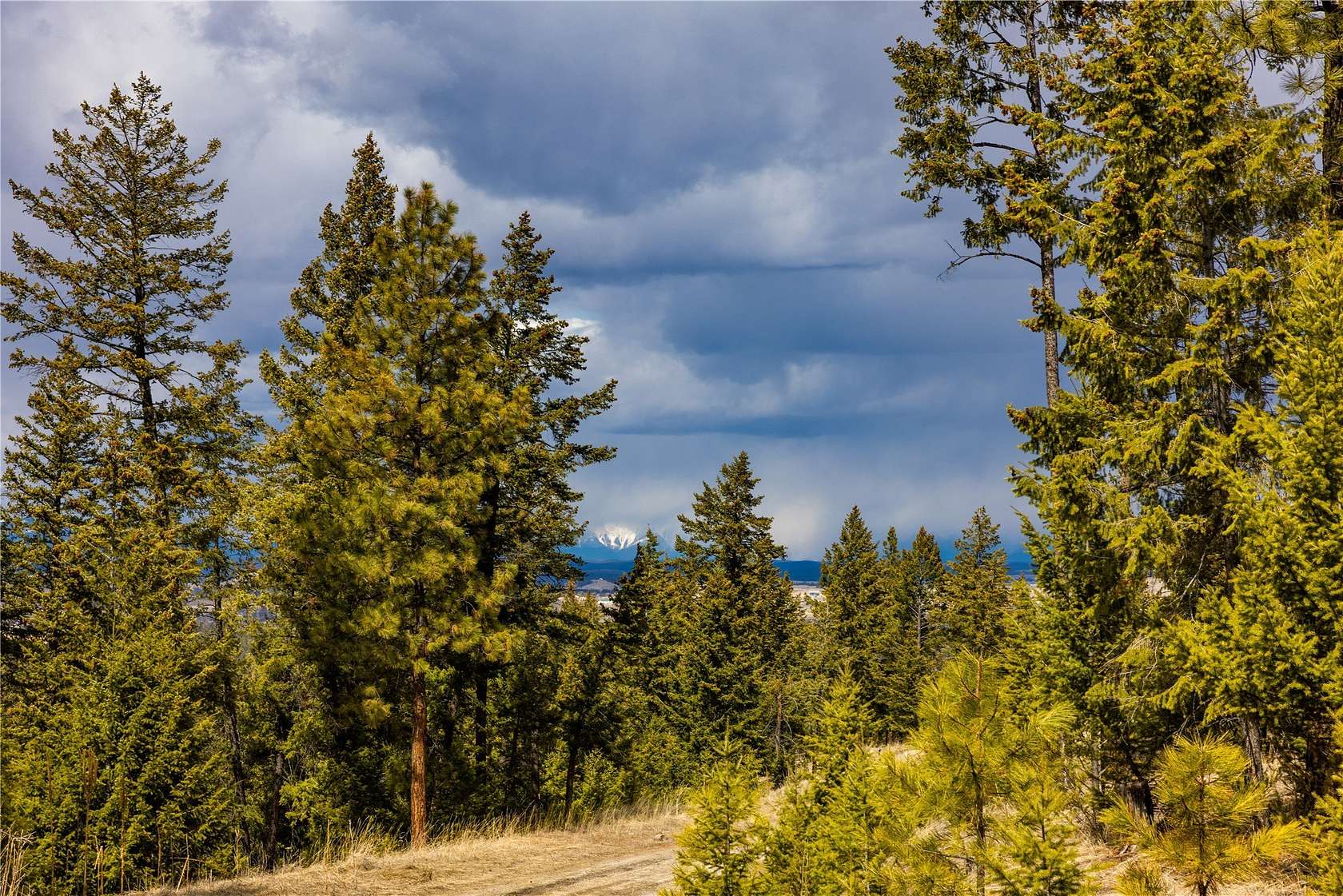 5.15 Acres of Residential Land for Sale in Eureka, Montana