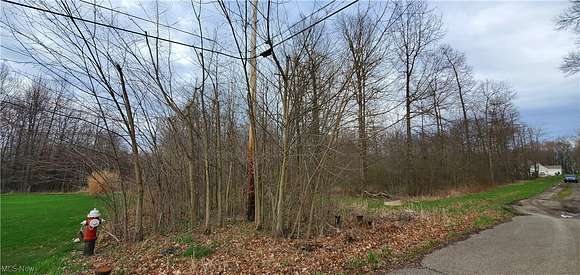 23 Acres of Land for Sale in Sebring, Ohio