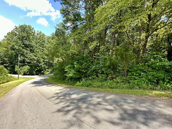 0.29 Acres of Land for Sale in Martin, Georgia