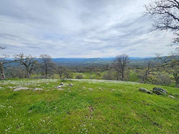 80 Acres of Land for Sale in Coarsegold, California