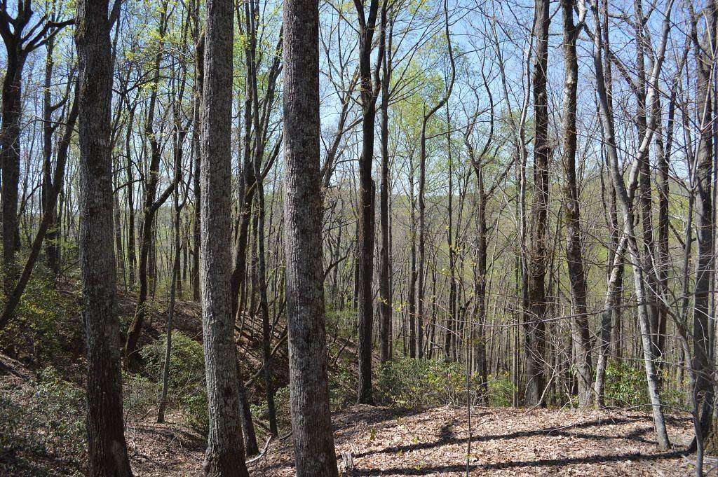 0.68 Acres of Land for Sale in Travelers Rest, South Carolina