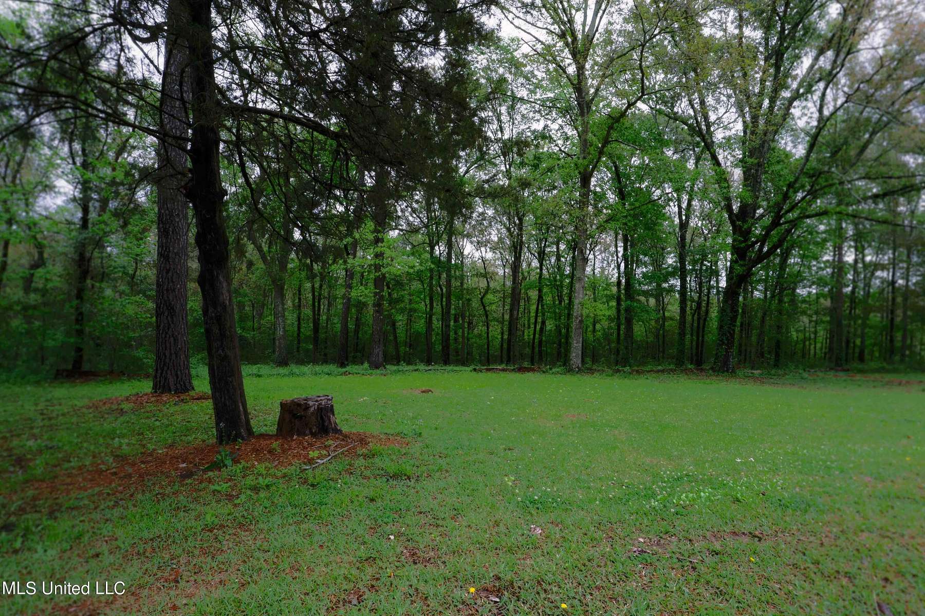 6.5 Acres of Residential Land with Home for Sale in Jackson, Mississippi