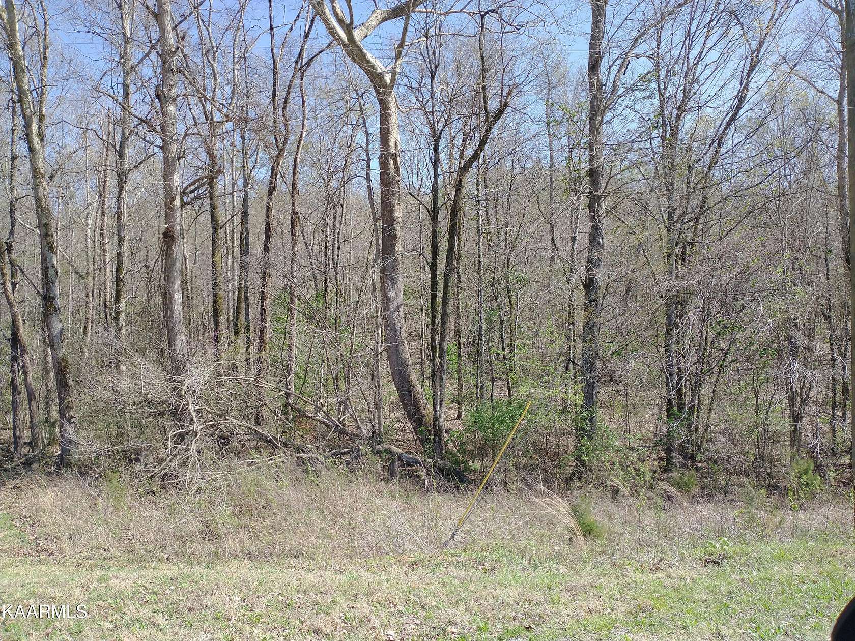25.8 Acres of Land for Sale in Greenback, Tennessee