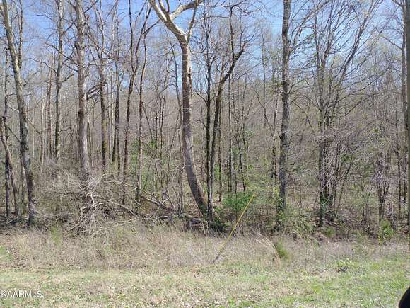 25.8 Acres of Land for Sale in Greenback, Tennessee