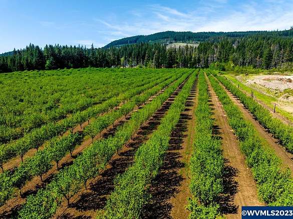 40.2 Acres of Improved Agricultural Land for Sale in Lyons, Oregon