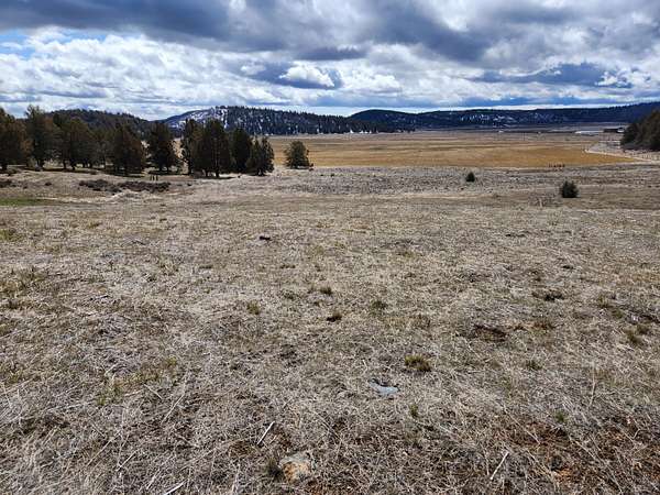 0.8 Acres of Residential Land for Sale in Klamath Falls, Oregon
