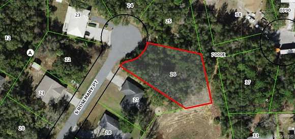 0.37 Acres of Residential Land for Sale in Homosassa, Florida