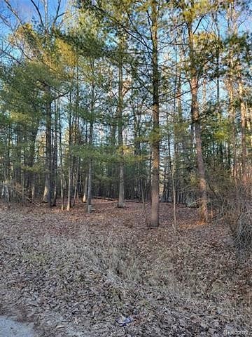0.31 Acres of Residential Land for Sale in Gladwin, Michigan
