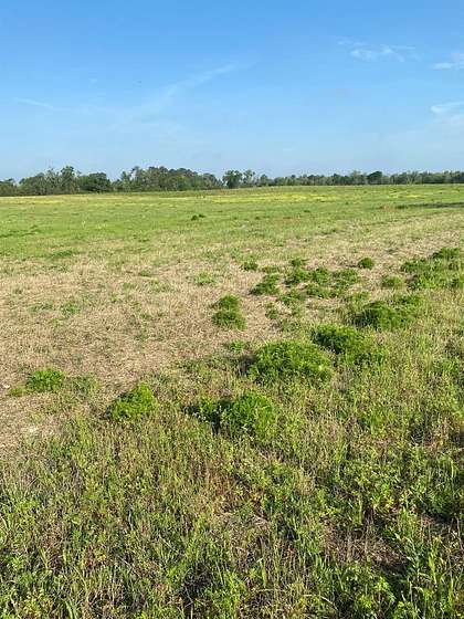 88.4 Acres of Agricultural Land for Sale in Hawkinsville, Georgia