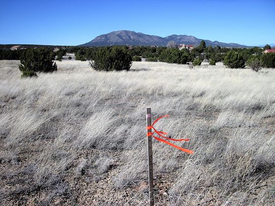 5 Acres of Land for Sale in Edgewood, New Mexico