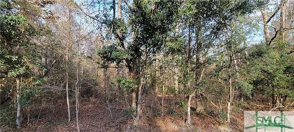 2.5 Acres of Land for Sale in Ellabell, Georgia