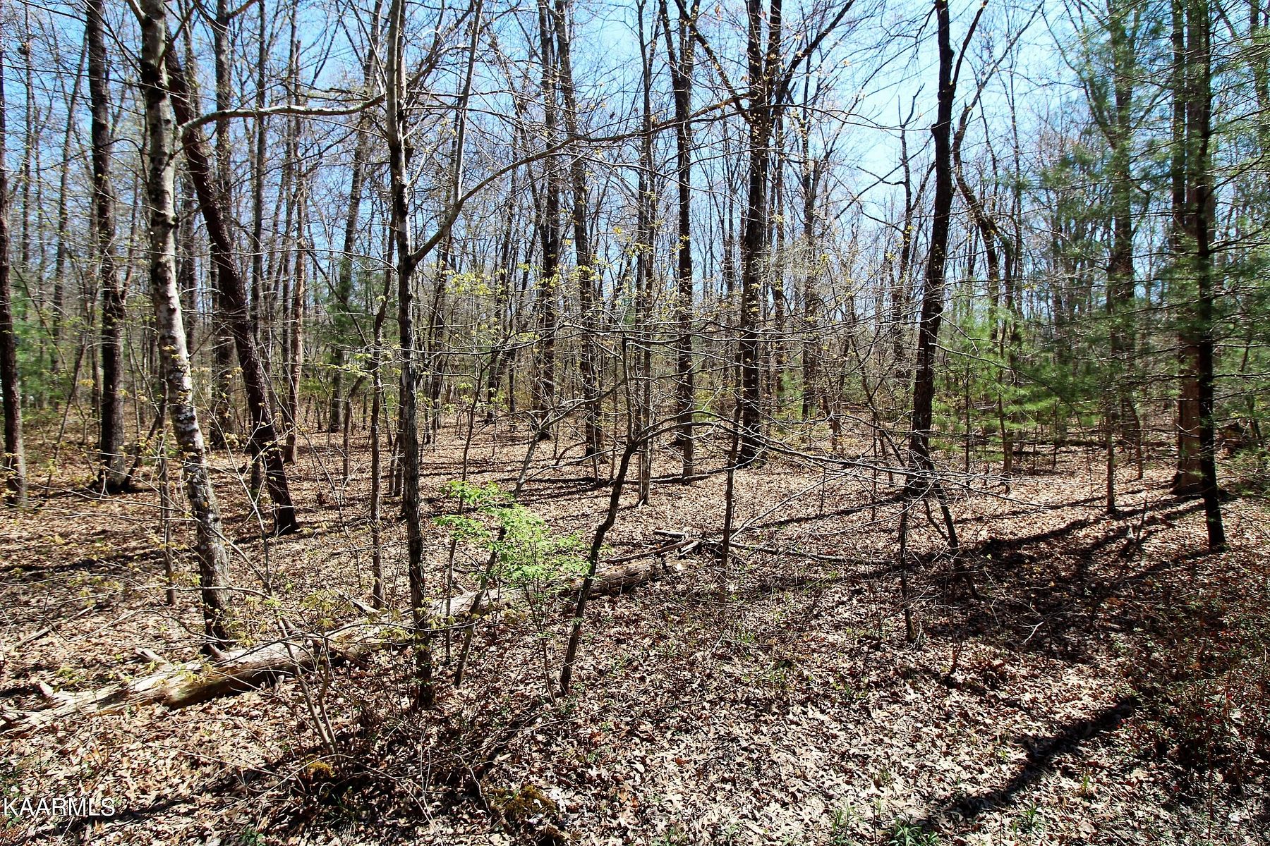 0.41 Acres of Land for Sale in Crossville, Tennessee