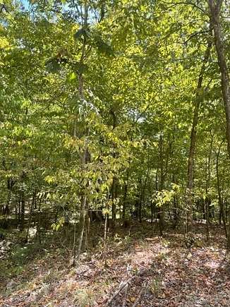 2 Acres of Residential Land for Sale in Broken Bow, Oklahoma