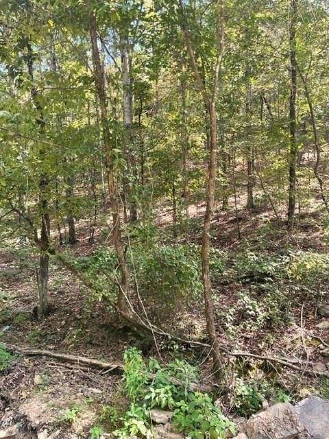 1.016 Acres of Residential Land for Sale in Broken Bow, Oklahoma