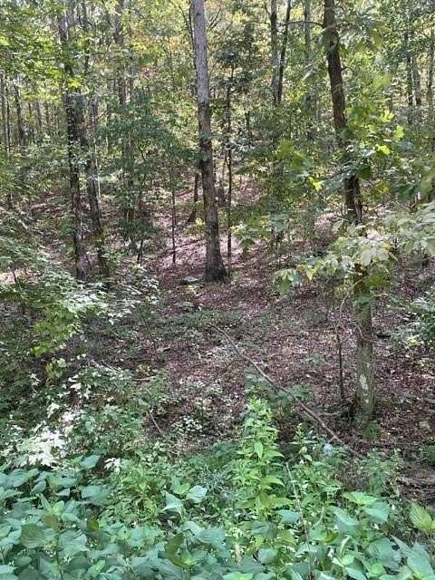 1 Acre of Residential Land for Sale in Broken Bow, Oklahoma