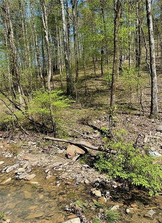 1 Acre of Residential Land for Sale in Broken Bow, Oklahoma