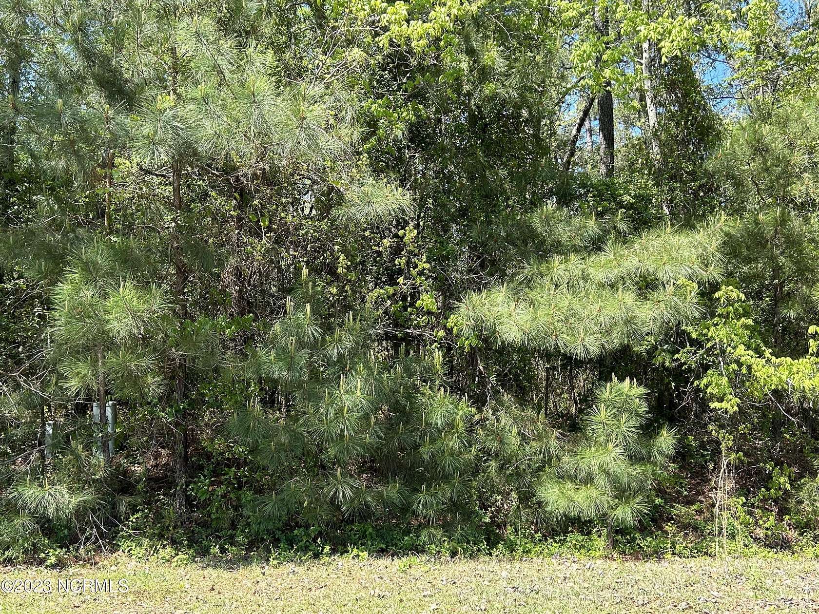 1.15 Acres of Residential Land for Sale in Laurinburg, North Carolina