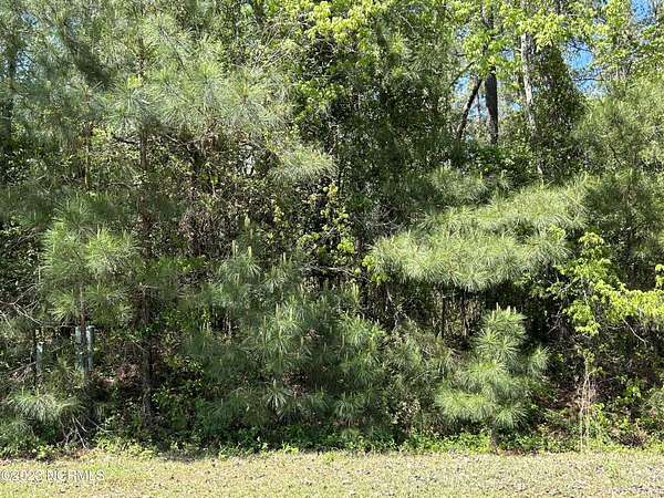 1.15 Acres of Residential Land for Sale in Laurinburg, North Carolina