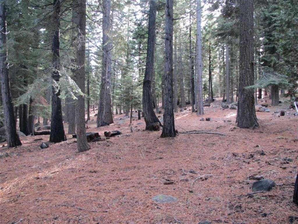 1.3 Acres of Residential Land for Sale in Lake Almanor West, California