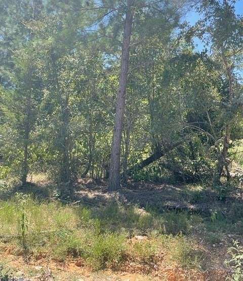 1.197 Acres of Residential Land for Sale in Broken Bow, Oklahoma