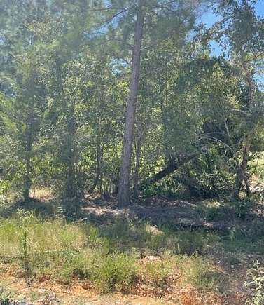 1.197 Acres of Residential Land for Sale in Broken Bow, Oklahoma