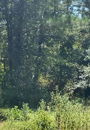 1.199 Acres of Residential Land for Sale in Broken Bow, Oklahoma