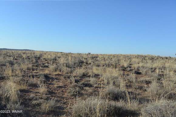 10 Acres of Agricultural Land for Sale in Snowflake, Arizona