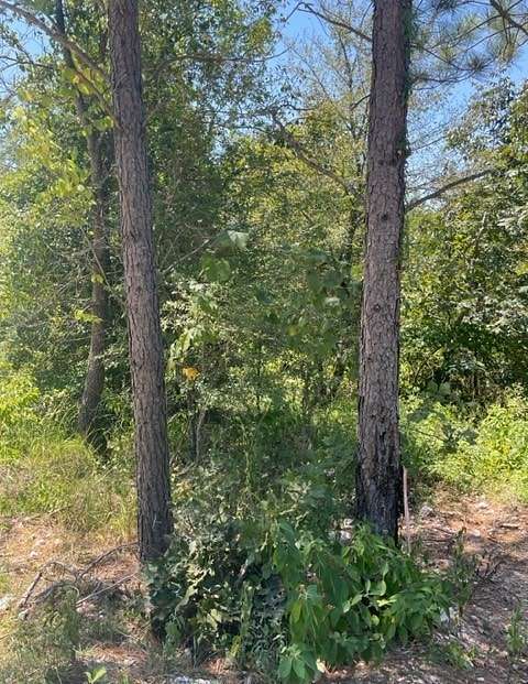 1.6 Acres of Residential Land for Sale in Broken Bow, Oklahoma