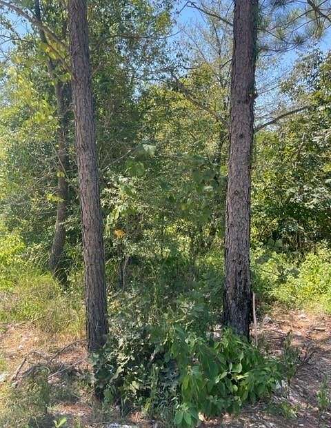 1.555 Acres of Residential Land for Sale in Broken Bow, Oklahoma