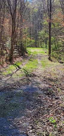 5.17 Acres of Residential Land for Sale in Walland, Tennessee