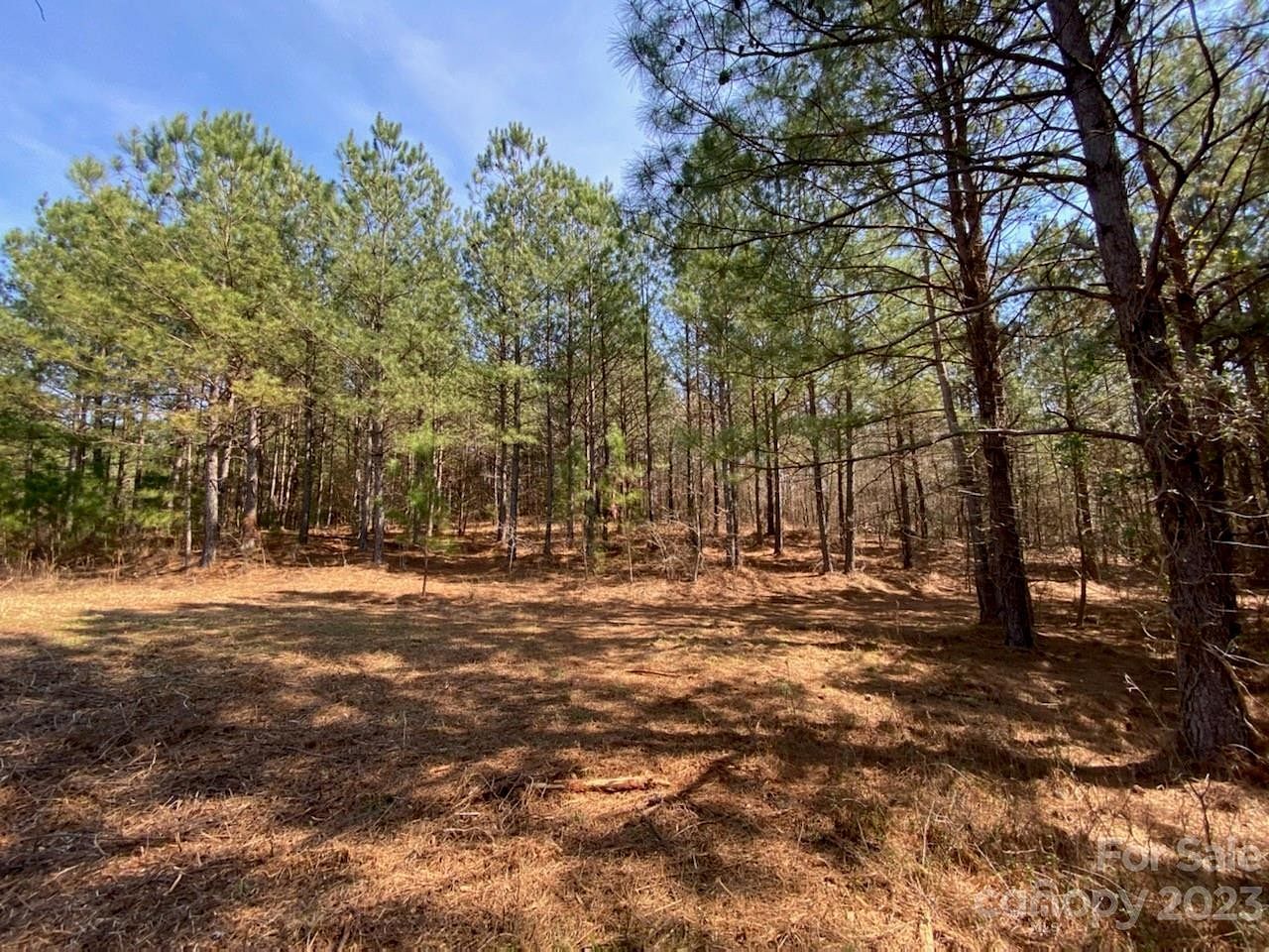 1 Acre of Land for Sale in Mooresboro, North Carolina